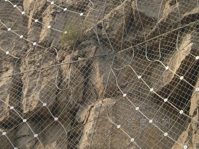 ���Է��o�W���c