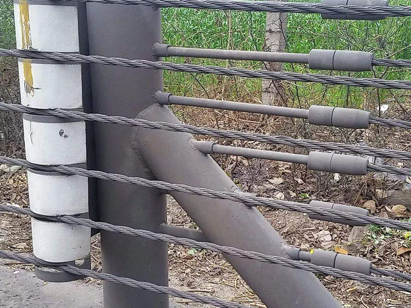 �|���o��